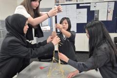 AVID-Spaghetti-Towers-Building-Relational-Capacity