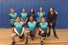 Volleyball-2